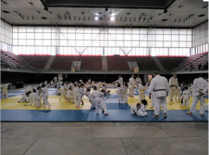 Segundas jornadas de deporte base en la Caja Mágica: Judo, Aikido y Baloncesto.