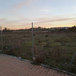 parcela huerta escuela