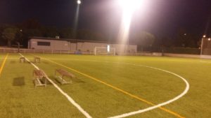 La Junta Municipal de Usera y la ADC San Fermín, firman el convenio que regula la gestión de las instalaciones deportivas del Parque Lineal del Manzanares