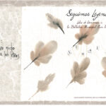 42CF709E-50FB-4324-AC29-5425DCF37173